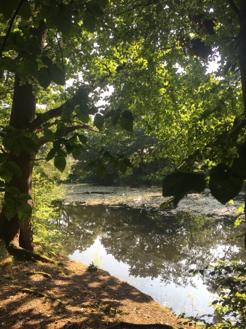 17.8.2016 ( Section 11 )