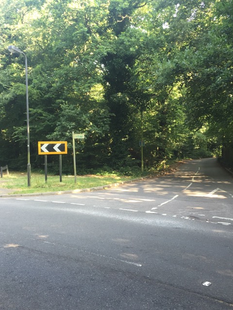 17.8.2016 ( Section 11 )