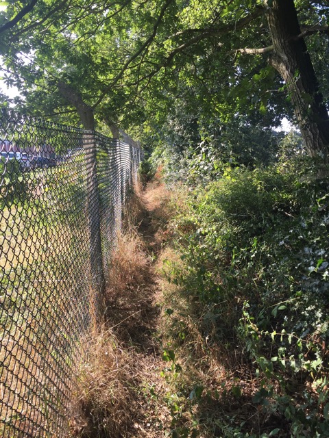 17.8.2016 ( Section 11 )