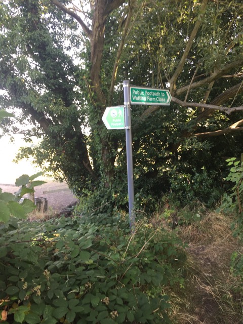 17.8.2016 ( Section 11 )