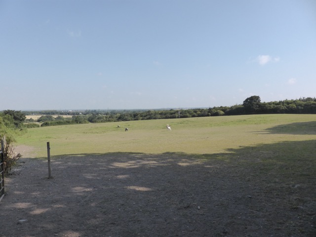 17.8.2016 ( Section 11 )