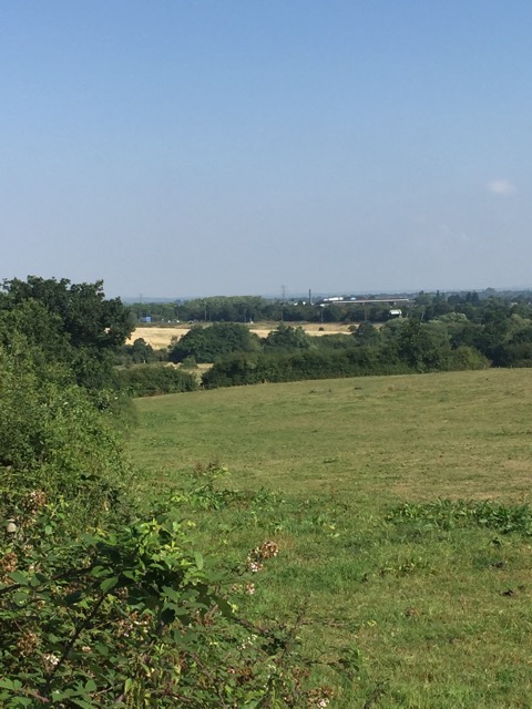 17.8.2016 ( Section 11 )