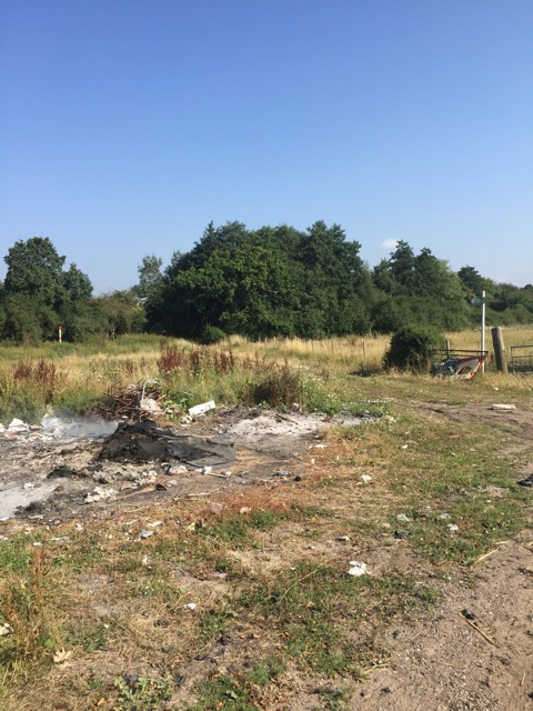 17.8.2016 ( Section 11 )