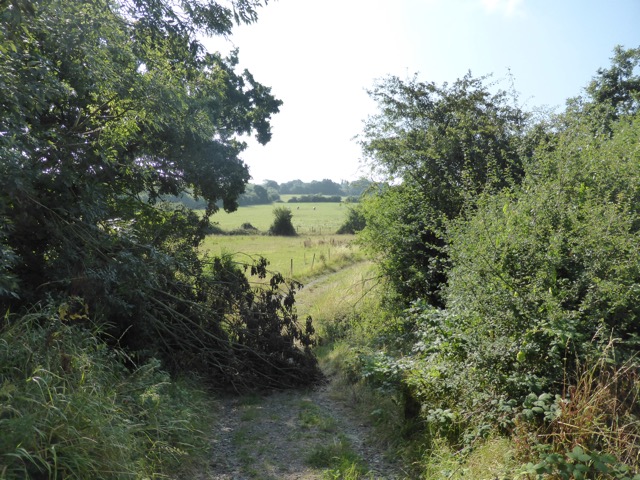 17.8.2016 ( Section 11 )