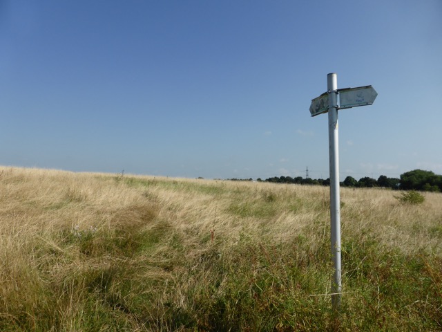 17.8.2016 ( Section 11 )