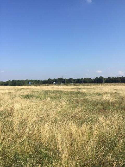 17.8.2016 ( Section 11 )