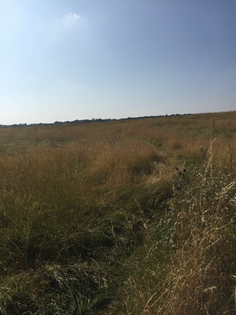 17.8.2016 ( Section 11 )