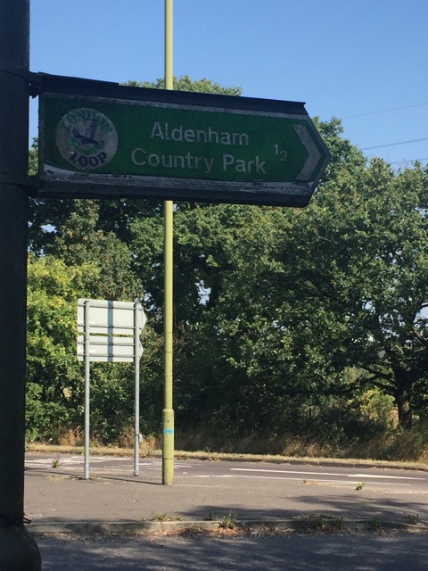 17.8.2016 ( Section 11 )