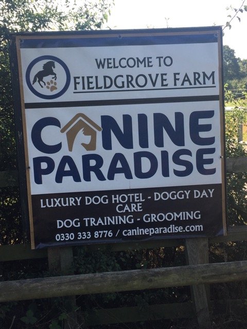 17.8.2016 ( Section 11 )