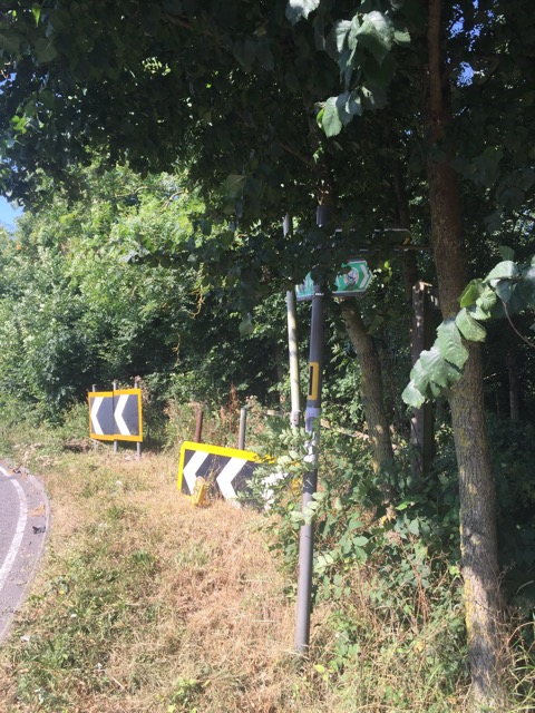 17.8.2016 ( Section 11 )