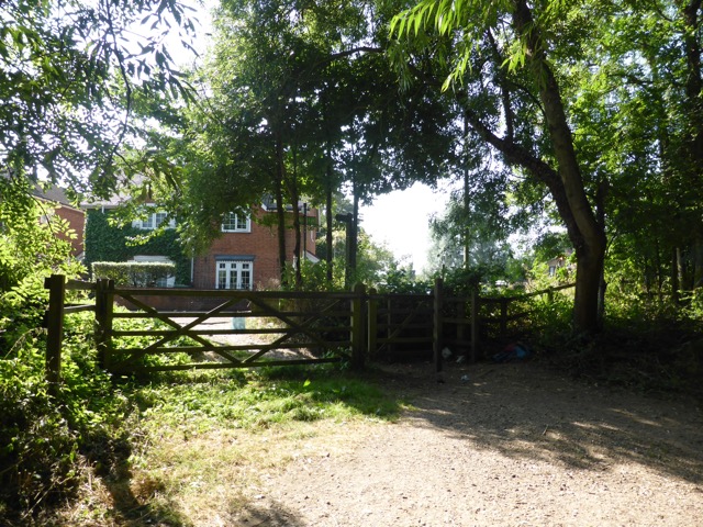 17.8.2016 ( Section 11 )