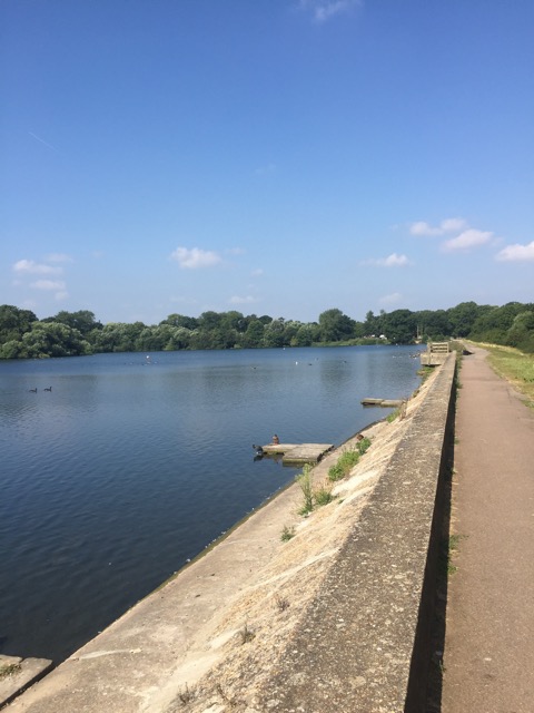 17.8.2016 ( Section 11 )