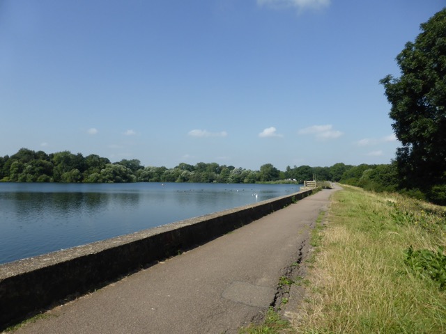 17.8.2016 ( Section 11 )