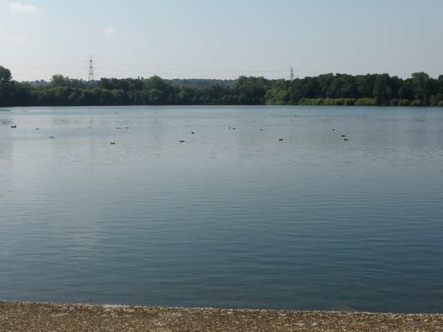 17.8.2016 ( Section 11 )