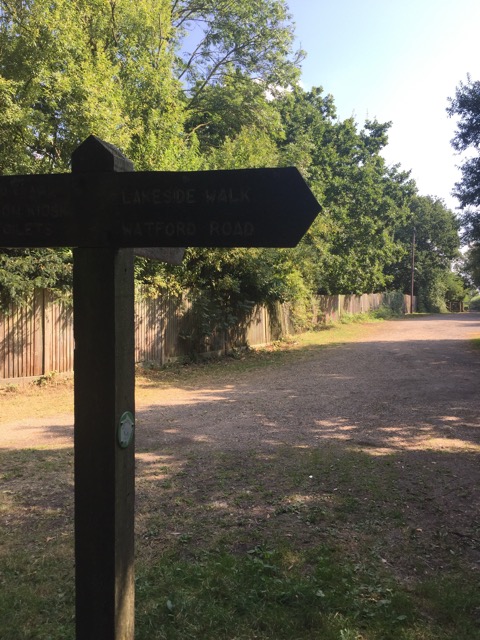 17.8.2016 ( Section 11 )