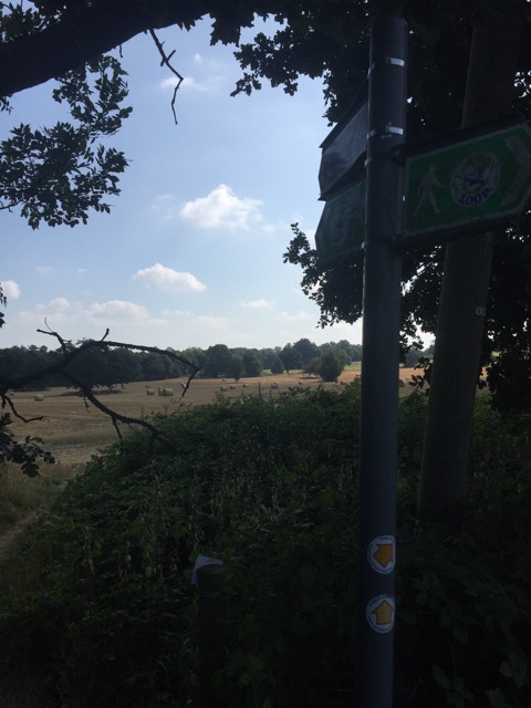 17.8.2016 ( Section 11 )