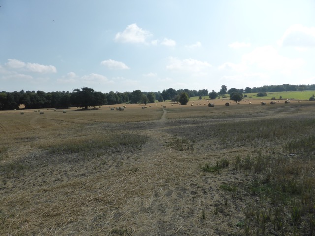 17.8.2016 ( Section 11 )