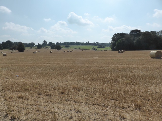 17.8.2016 ( Section 11 )