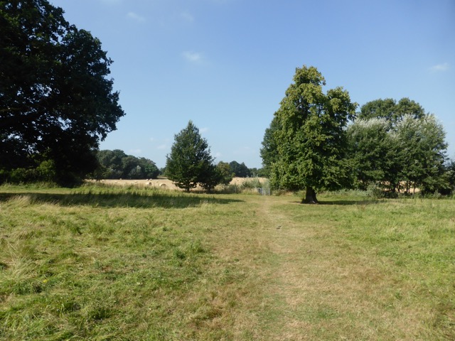 17.8.2016 ( Section 11 )