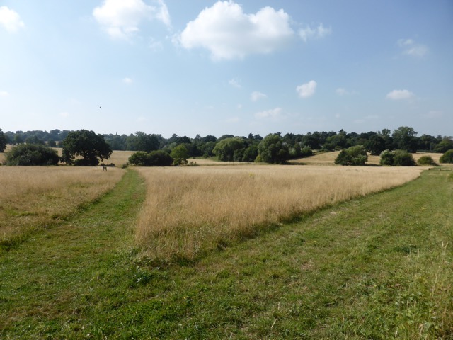 17.8.2016 ( Section 11 )