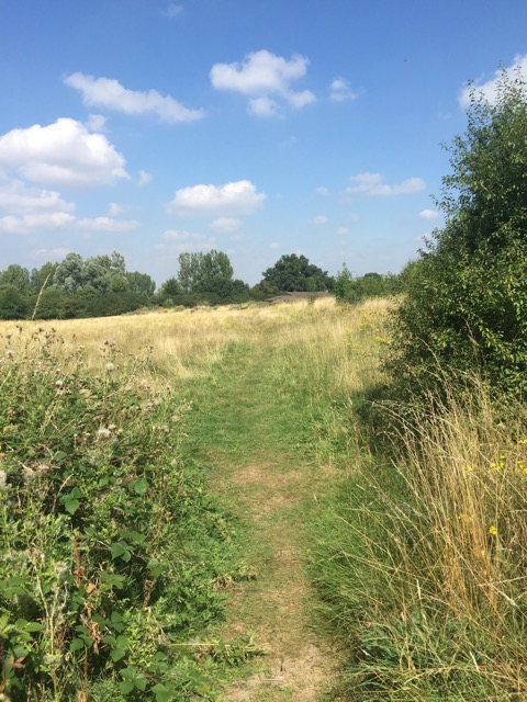 17.8.2016 ( Section 11 )