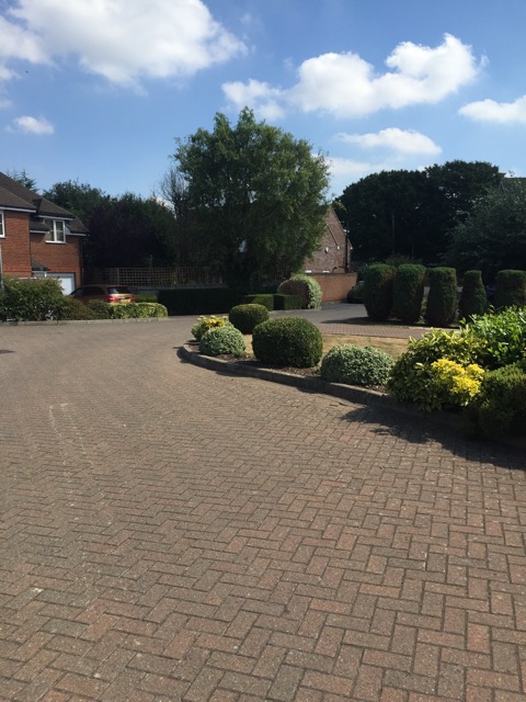 17.8.2016 ( Section 11 )