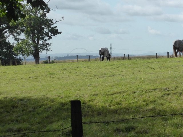 19.8.2017 ( Section 12 )