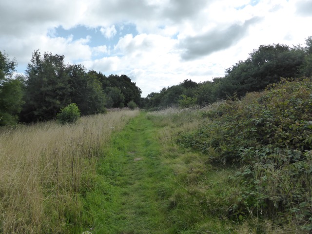 19.8.2017 ( Section 12 )