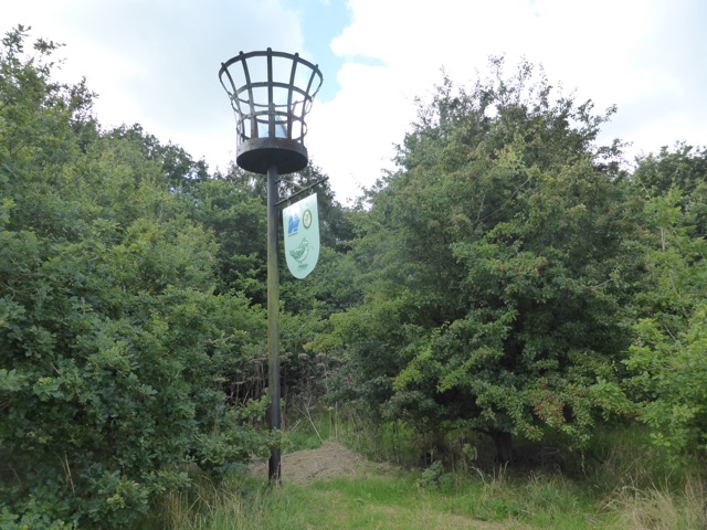 19.8.2017 ( Section 12 )