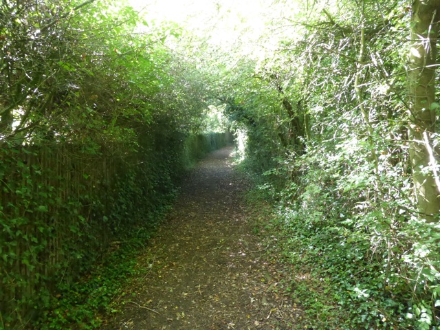 19.8.2017 ( Section 12 )