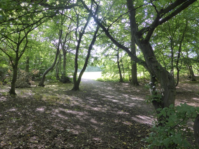 19.8.2017 ( Section 12 )