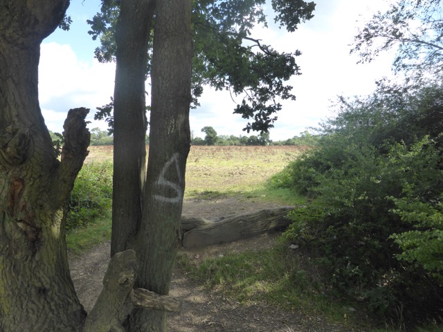 19.8.2017 ( Section 12 )