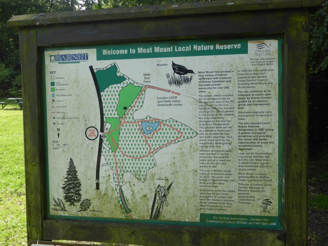 19.8.2017 ( Section 12 )