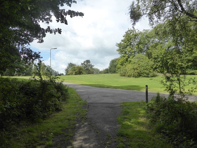 19.8.2017 ( Section 12 )