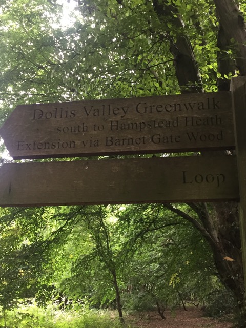 19.8.2017 ( Section 12 )