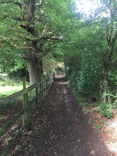 19.8.2017 ( Section 12 )