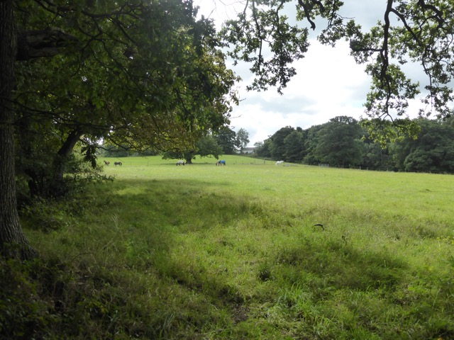 19.8.2017 ( Section 12 )