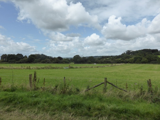 19.8.2017 ( Section 12 )