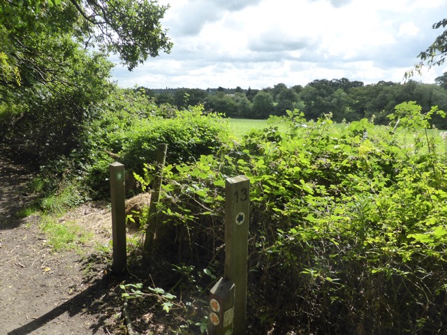 19.8.2017 ( Section 12 )