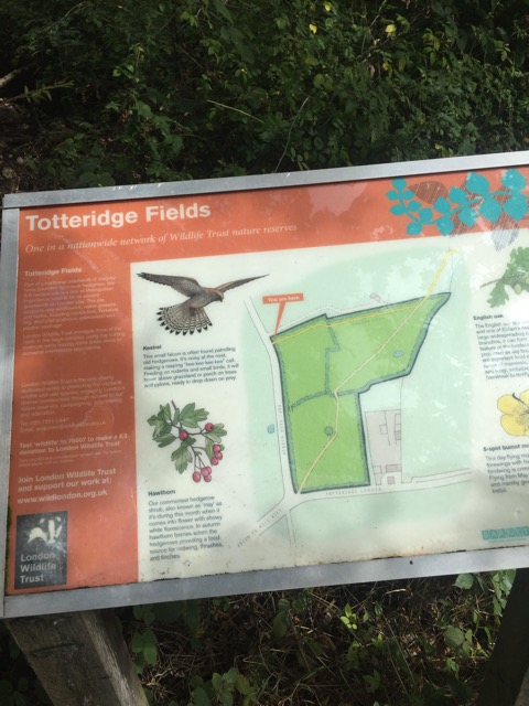 19.8.2017 ( Section 12 )