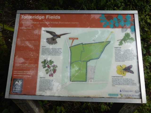 19.8.2017 ( Section 12 )