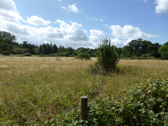 19.8.2017 ( Section 12 )