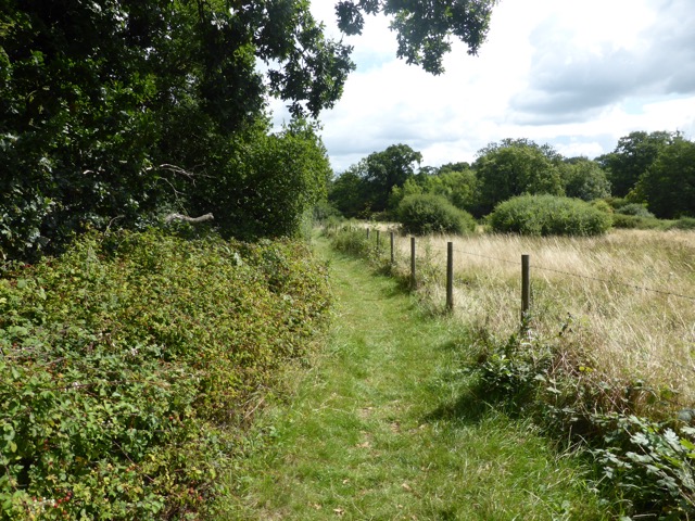 19.8.2017 ( Section 12 )