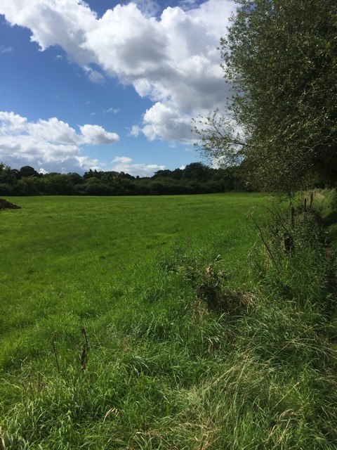 19.8.2017 ( Section 12 )