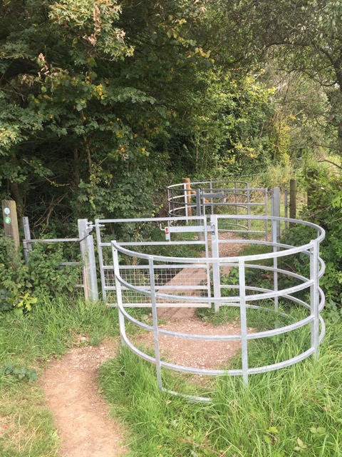 19.8.2017 ( Section 12 )