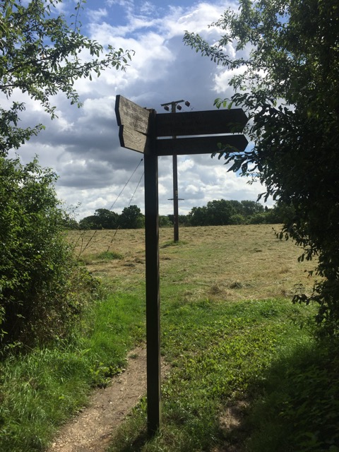 19.8.2017 ( Section 12 )