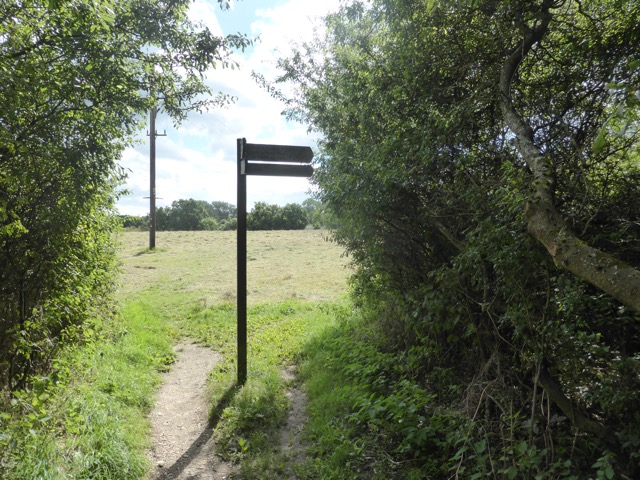 19.8.2017 ( Section 12 )