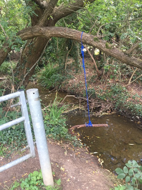 19.8.2017 ( Section 12 )