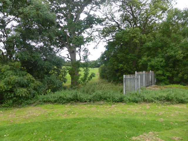 19.8.2017 ( Section 12 )