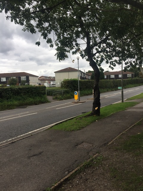 19.8.2017 ( Section 12 )